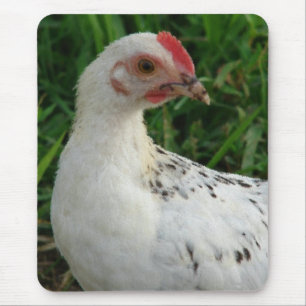 Mousepad Frango Branco