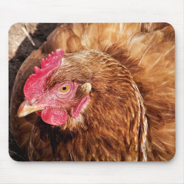 MOUSEPAD FRANGO CUTO (Frente)