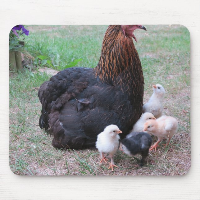 Mousepad frango, pintinhos, galinhas, pintinho, animal, ave (Frente)