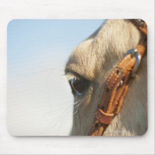 Mousepad Freio do cavalo