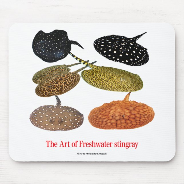 Mousepad Freshwater Stingrayのマウスパッド (Frente)