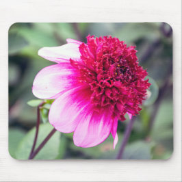 Mousepad Frilly Pink e Magenta Dahlia com duas tonalidades