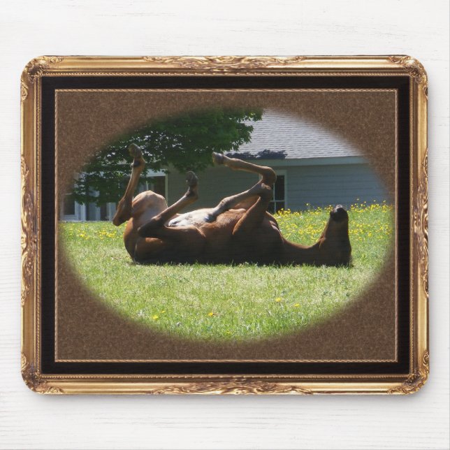 Mousepad Frisky do ~ do potro (Frente)