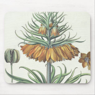 Mousepad Fritillary: Classe do florum de Imperialis da