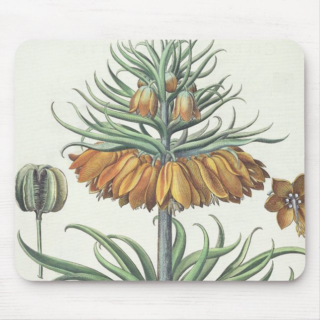 Mousepad Fritillary: Classe do florum de Imperialis da (Frente)