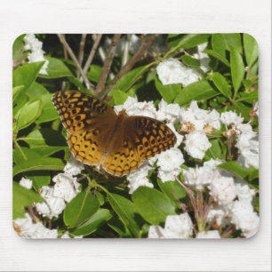 Mousepad Frívia do excelente em Montanha Laurel