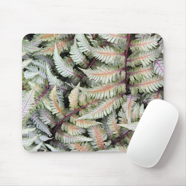 Mousepad Frontais Pictum Fern do Athyrium Japonês (Com mouse)