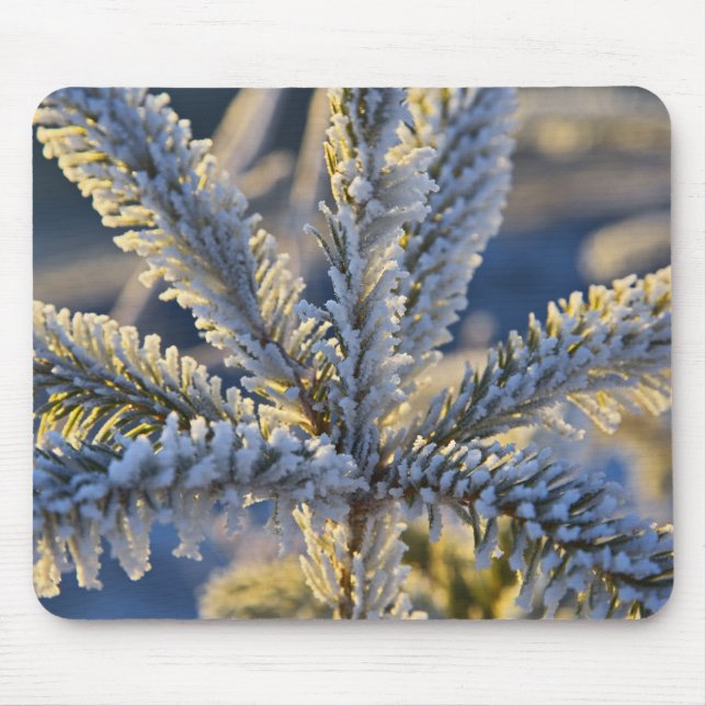 Mousepad Frost on Evergreen tree, Homer, Alaska (Frente)