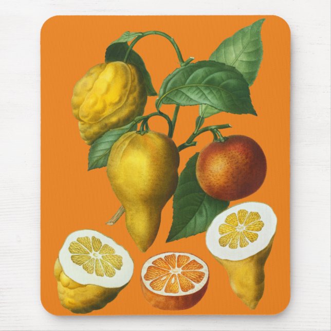 MOUSEPAD FRUTA CITRUS (Frente)