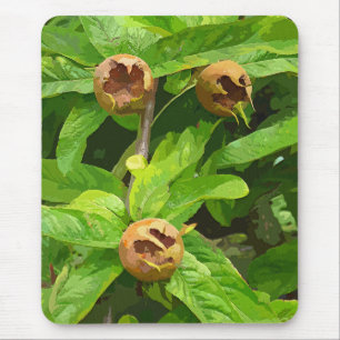 MOUSEPAD FRUTA DA NÊSPERA