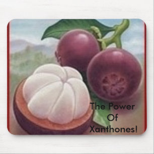 Mousepad Fruta do mangustão, o poder de Xanthones!