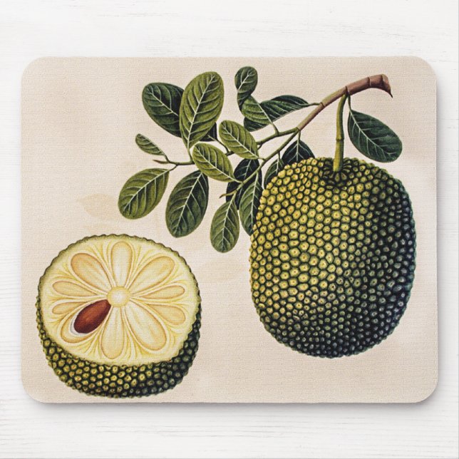 Mousepad Fruta e Folhagem de Durian (Frente)