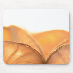 Mousepad Fruta laranja