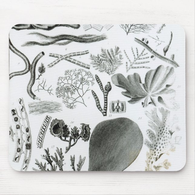 Mousepad Fuco de Conferra (Frente)