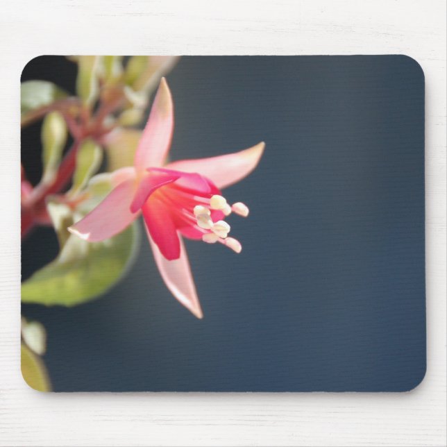 Mousepad fúcsia cor-de-rosa (Frente)