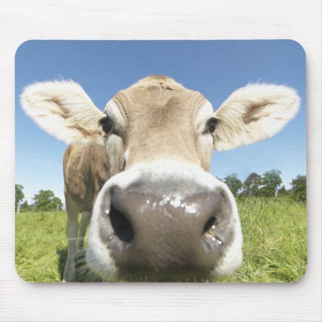 Mousepad Fuessen, Baviera, Alemanha (Frente)