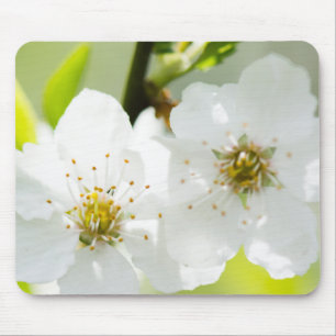 Mousepad Fuga
