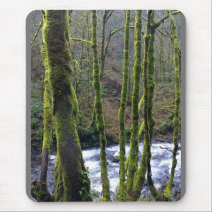 Mousepad Fuga de Queda de Véu Bridal, OU