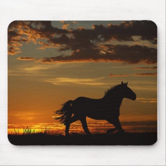 Mousepad Funcione com ele