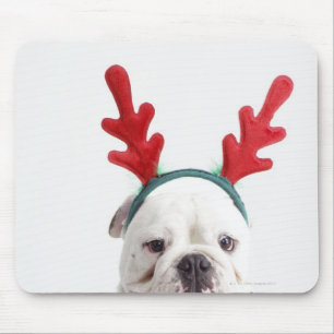 Mousepad fundo branco, buldogue masculino branco, vermelho