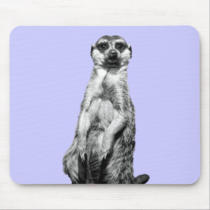 Mousepad Fundo da pervinca de Meerkat