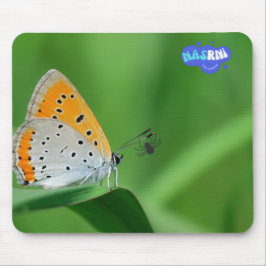Mousepad Fundo verde e borboleta amarela e branca e aranha