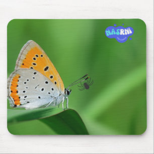 Mousepad Fundo verde e borboleta amarela e branca e aranha