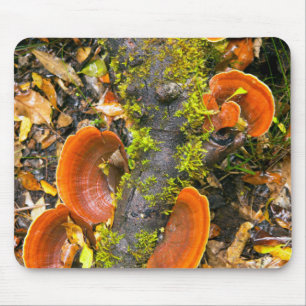 Mousepad Fungos Crescendo Em Galhos, O Knysna-Amatole