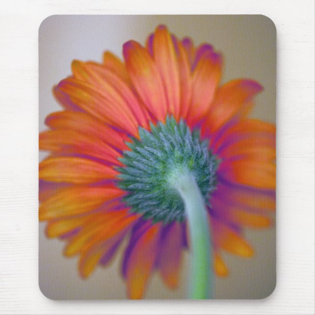 Mousepad Funky Gerbera (Frente)