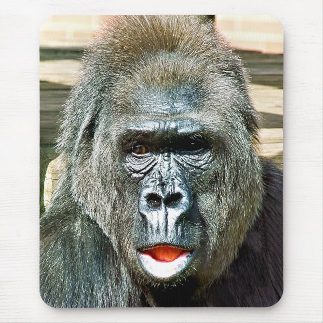 MOUSEPAD FUNNY CUTE GORILLA (Frente)
