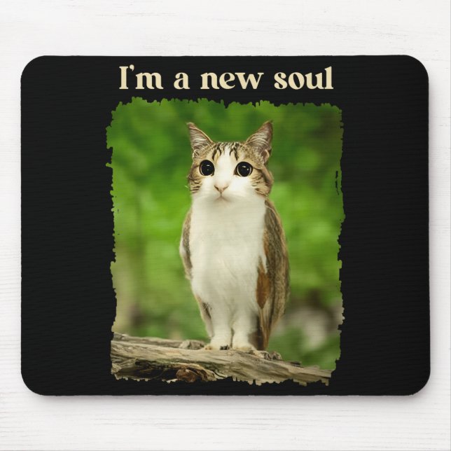 Mousepad Funny Meowl Meme, Cat Owl Meme Brainrot Gen Alpha  (Frente)
