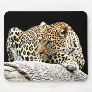 Mousepad furado do leopardo