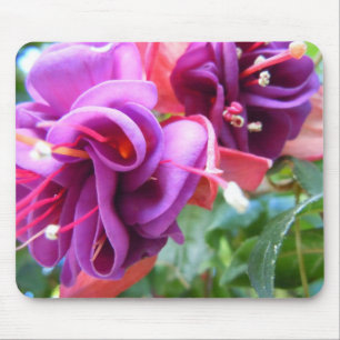 Mousepad Fuschia Dio