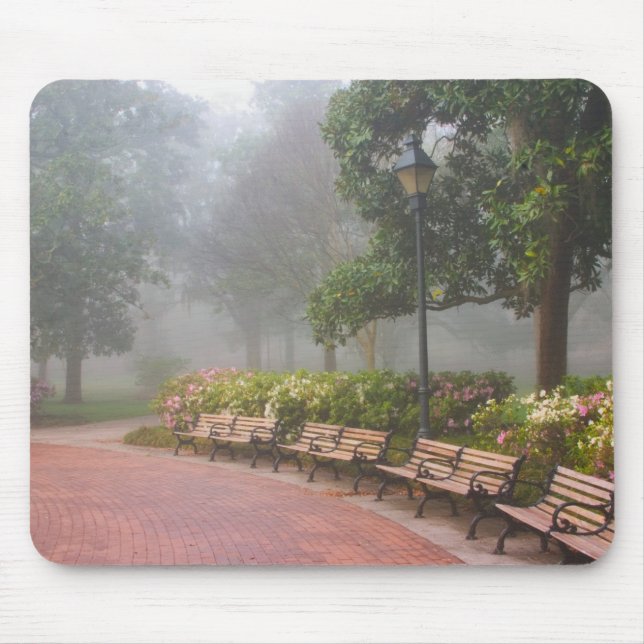Mousepad GA Savannah, Azaleas junto à calçada e (Frente)