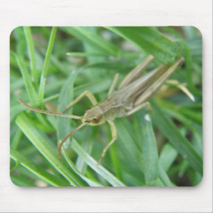 Mousepad Gafanhoto