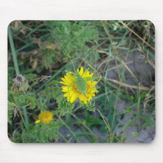 Mousepad Gafanhoto verde em uma flor amarela (Frente)