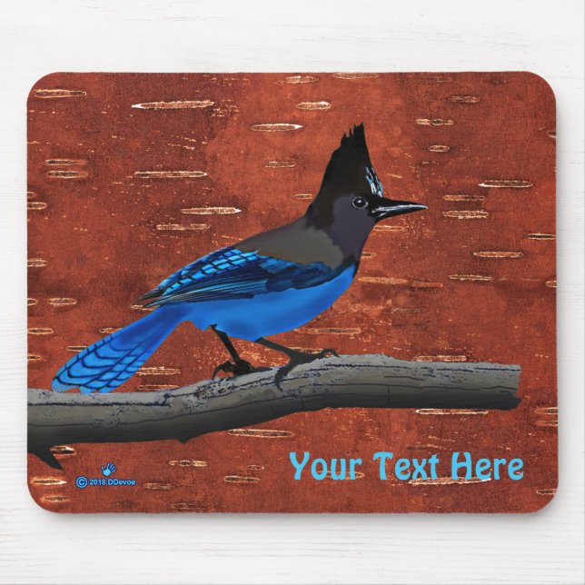 Mousepad Gaio-de-steller Em Casca Interna de Bétula (Frente)
