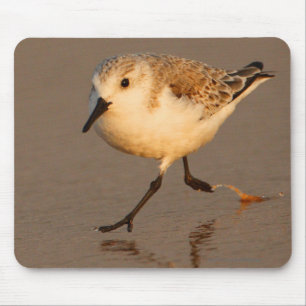 Mousepad Gaiteiro da areia