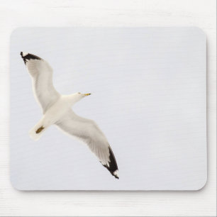 Mousepad Gaivota