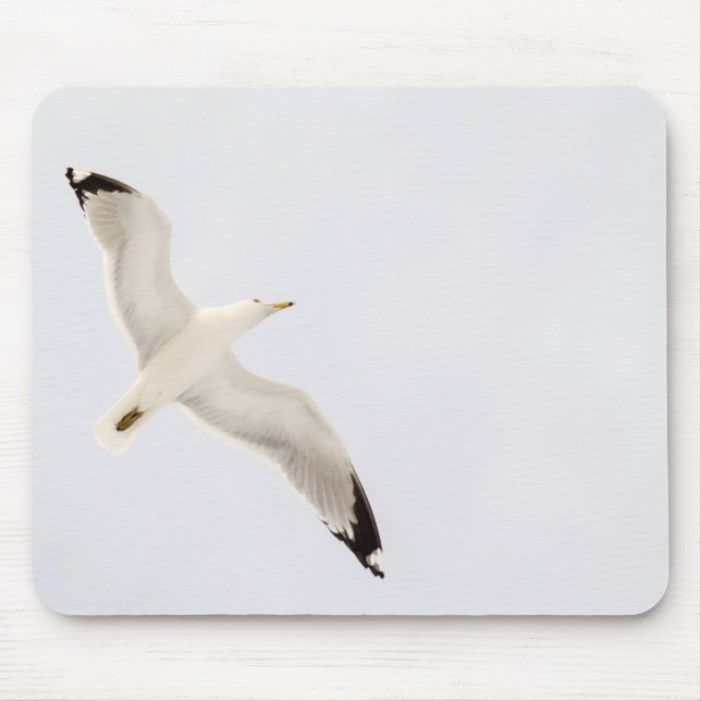 Mousepad Gaivota (Frente)