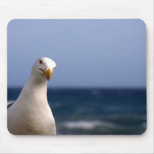 Mousepad Gaivota