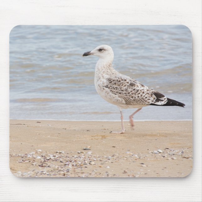 Mousepad Gaivota (Frente)