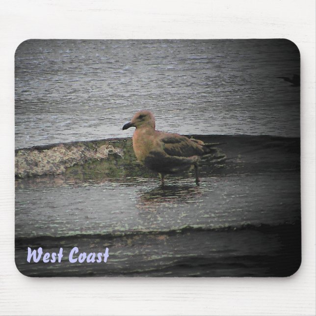 Mousepad Gaivota da Costa Oeste (Frente)
