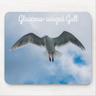 Mousepad Gaivota De Mão Glauta