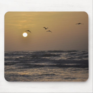 Mousepad Gaivota e por do sol na costa de Texas
