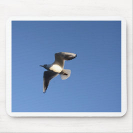 Mousepad Gaivota-pequena
