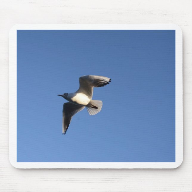Mousepad Gaivota-pequena (Frente)