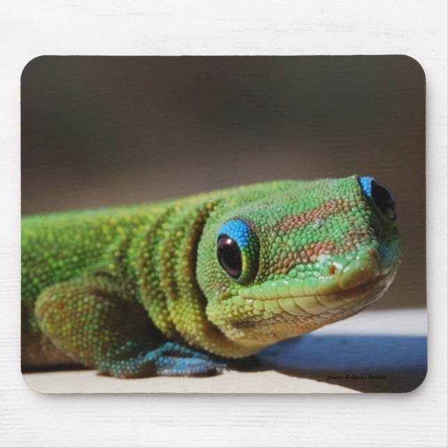 Mousepad Gajo verde (Frente)