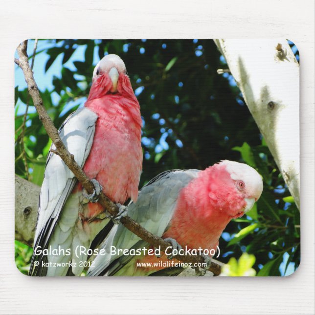 Mousepad Galahs (Cockatoo cor-de-rosa de Breasted) (Frente)