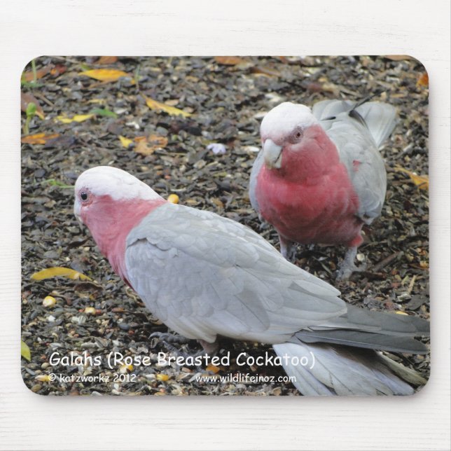 Mousepad Galahs (Cockatoo cor-de-rosa de Breasted) (Frente)